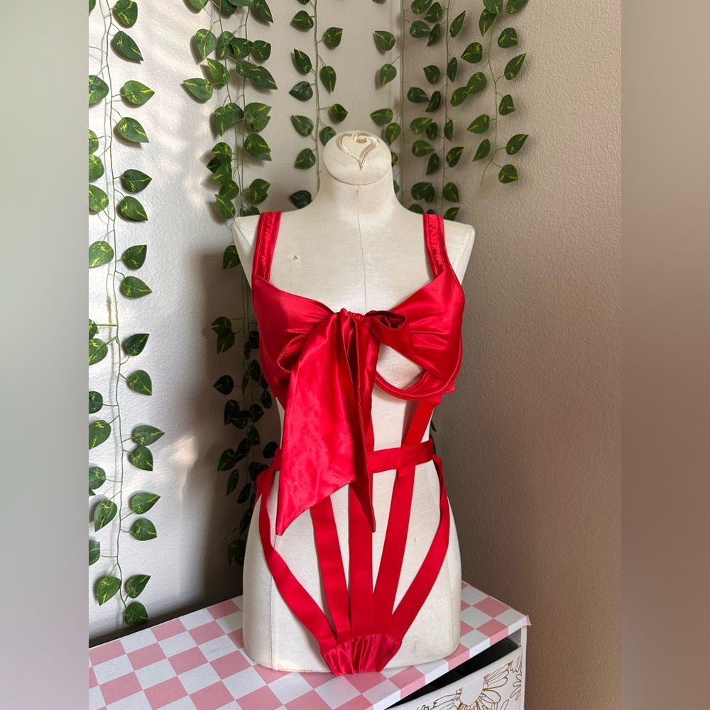 Adore Me Red Strappy Panty Set